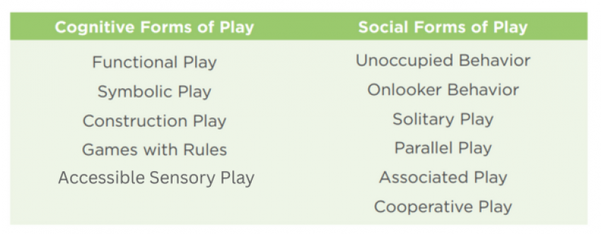 Cognitive-and-Social-Forms-of-Play 2