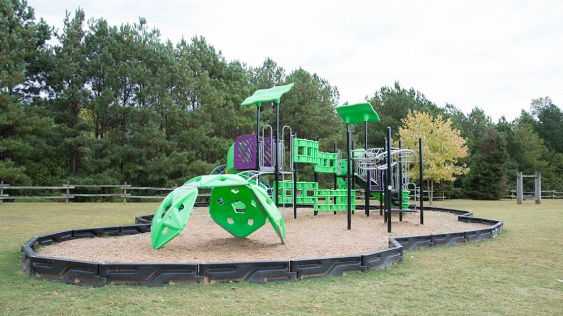 Carrollton Elementary School playground with green and purple climbers, slides, and overhead bars in an outdoor setting.