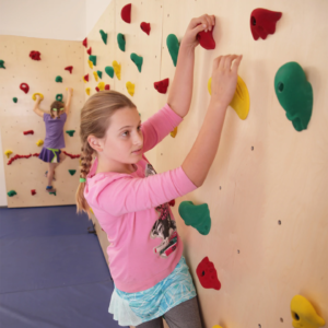 Baltic Birch Climbing Wall