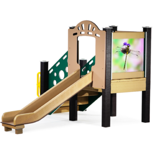 Dragonfly (Infant)