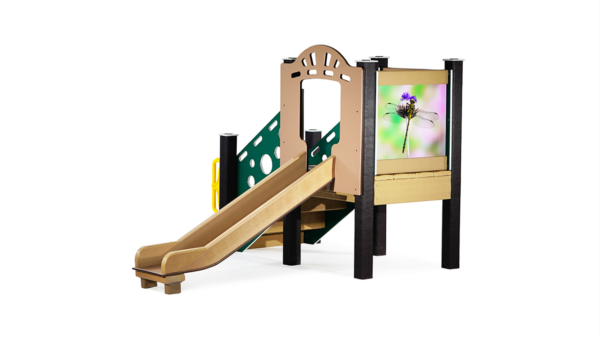 Dragonfly (Infant)