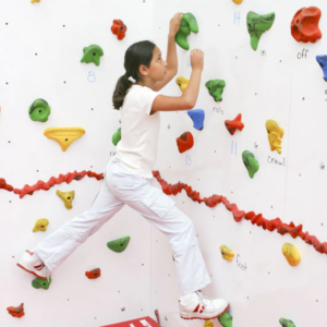 Discovery® Dry-Erase Climbing Wall