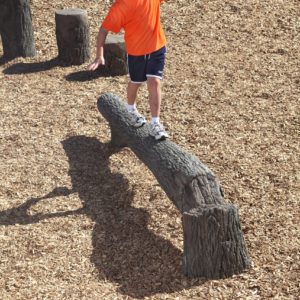 8' Fallen Tree Balance Beam