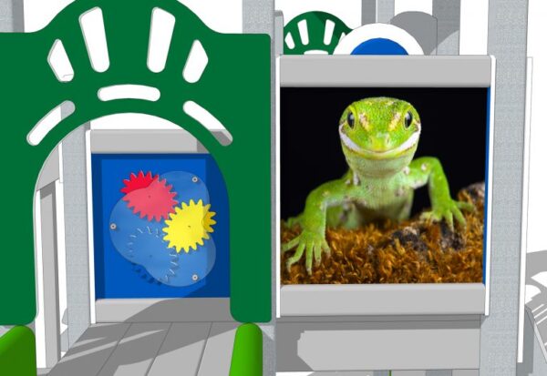 Gecko (Preschool) - Image 5