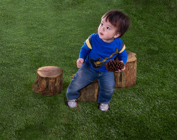 Wood Stepping Stump (Set of 5 Various Heights) - Image 2