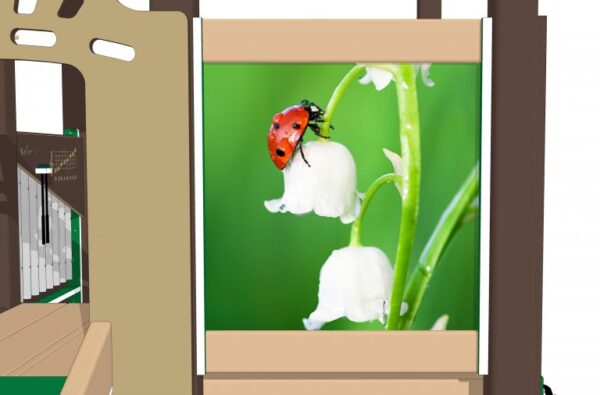 Ladybug (Preschool) - Image 6