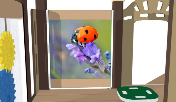 Ladybug (Preschool) - Image 5