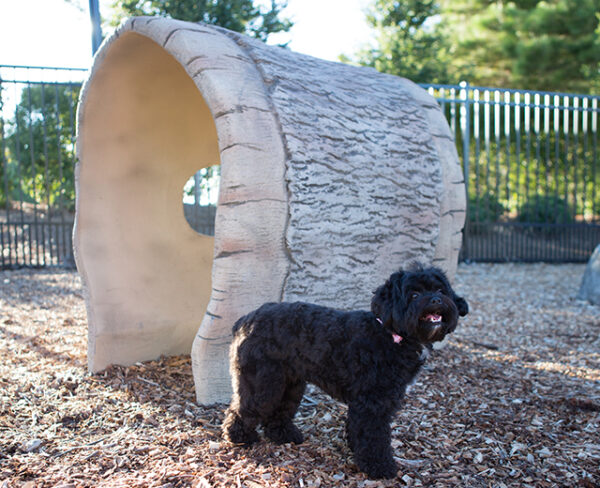 Log Tunnel 4LT - Image 4