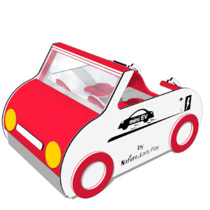 Mini EV Car