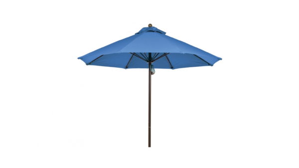 Market Umbrella