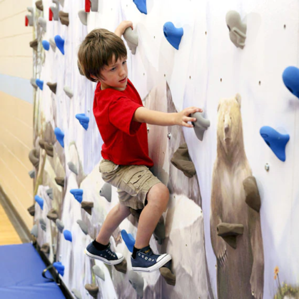 Mural Climbing Wall - Image 2