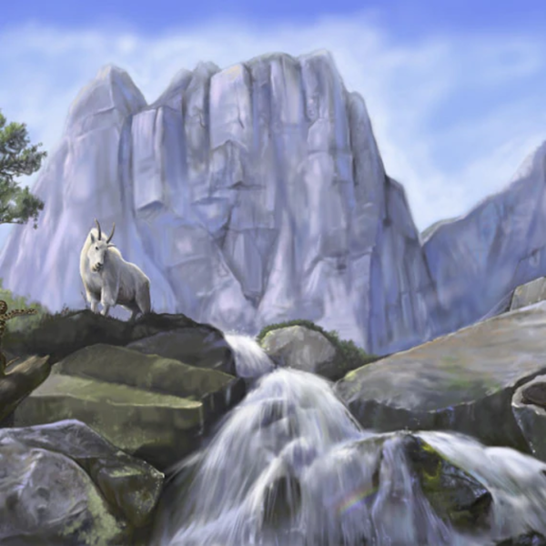 Mural Climbing Wall - Image 3