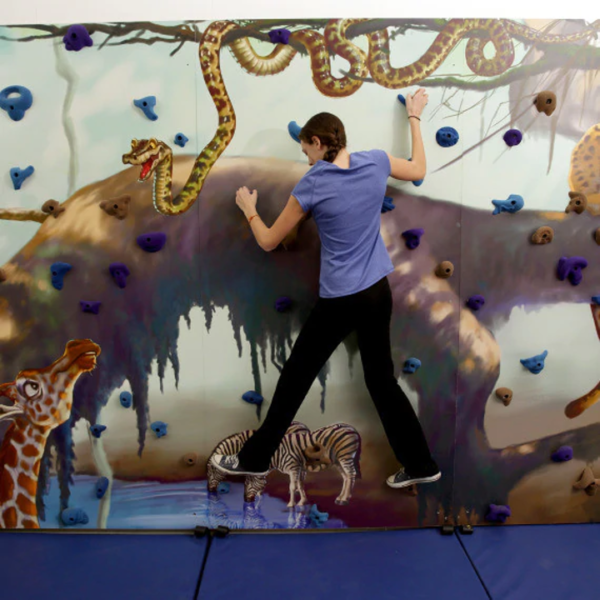 Mural Climbing Wall - Image 6