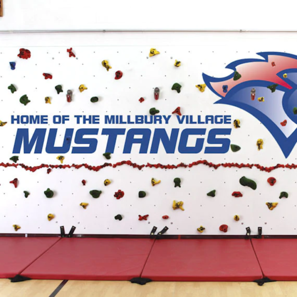 Mural Climbing Wall - Image 8
