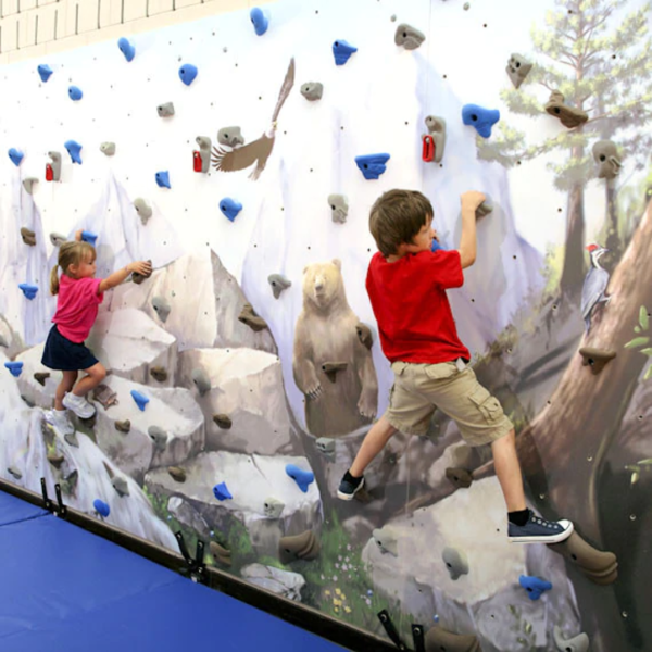 Mural Climbing Wall