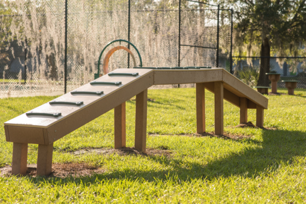 Walk the Plank RECF0015XX - Image 3