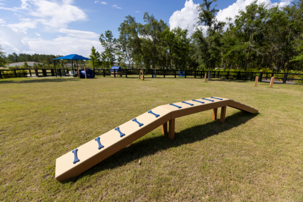 Walk the Plank RECF0015XX - Image 2