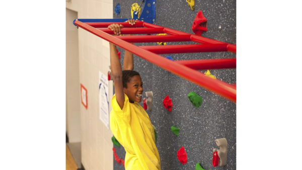 Safari® Monkey Bars