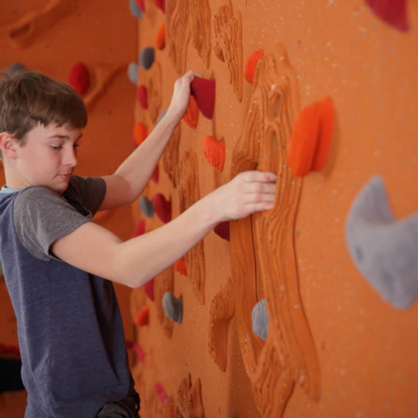 Sandstone Relief Feature™ Climbing Wall - Image 4
