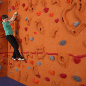 Sandstone Relief Feature™ Climbing Wall