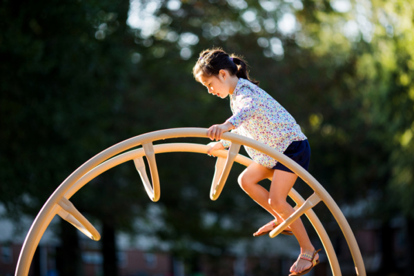 Single Hump Camel Jr. Climber TFR16985XX - Image 3