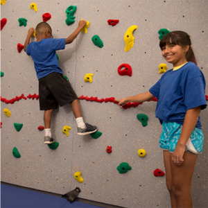Standard Traverse Climbing Wall