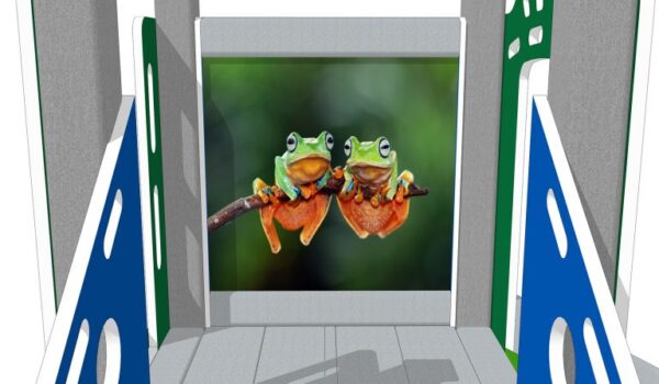 Tree Frog (Preschool) - Image 5