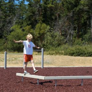 Balance Beam - Zig Zag 8' Thermo