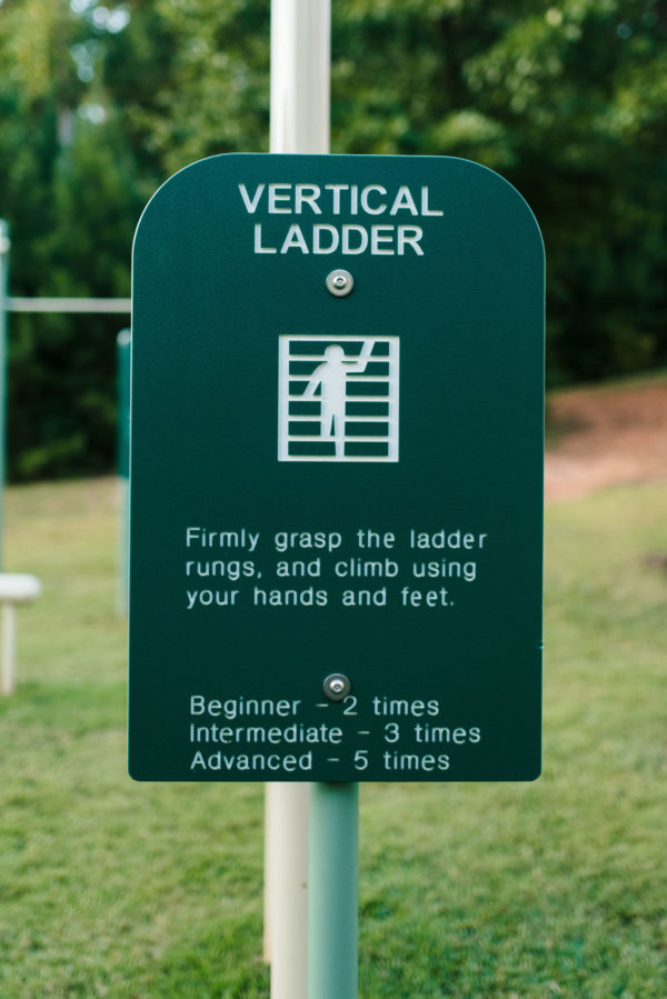 Vertical Ladder 60019402XX - Image 5