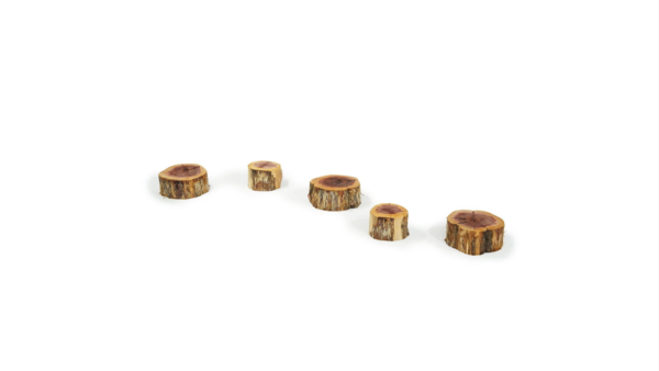 Wood Stepping Slice (Set of 5)