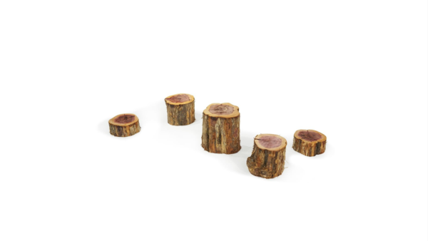 Wood Stepping Stump (Set of 5 Various Heights)