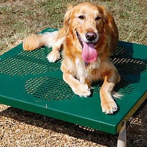Paws Table
