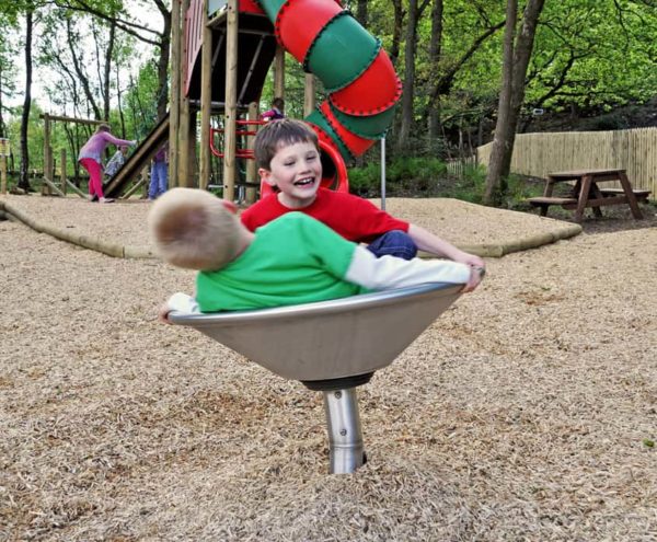 Gravity Bowl PLD0005XX - Image 3