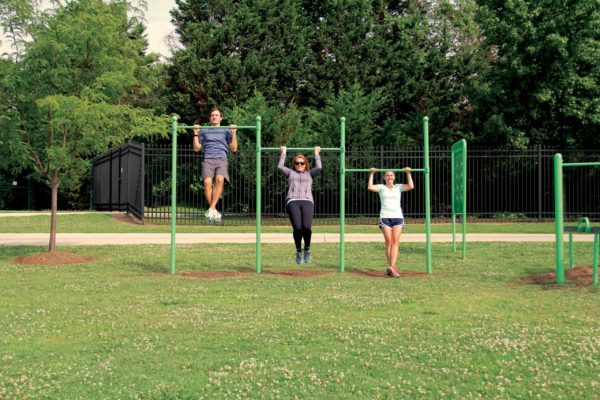 Joint Use Chin-Up Bar Station - Image 3