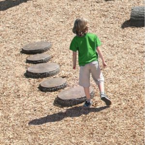 Tree Slices- Set of 5 5TSL