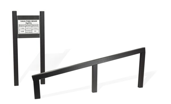 Vaulting Beam