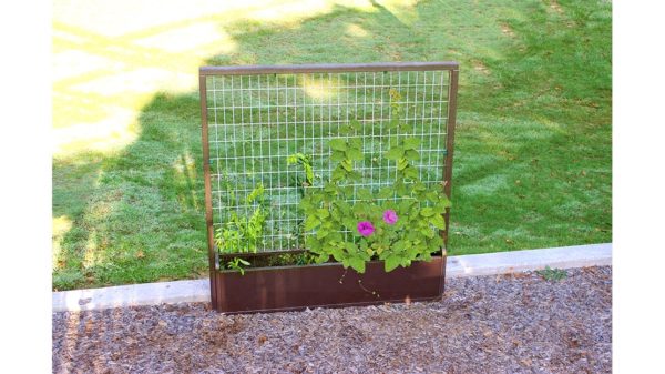 Climbing Vine Planter - Image 2
